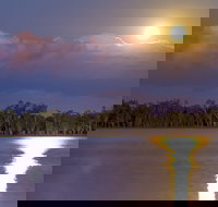 Lake Broadwater Conservation Park - Accommodation Newcastle