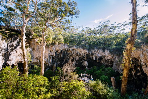 Lake Cave - Accommodation Newcastle 2