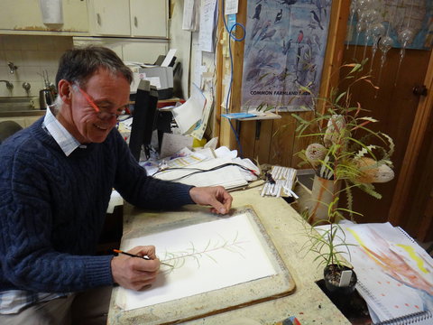 Medika Gallery - Accommodation Newcastle 0