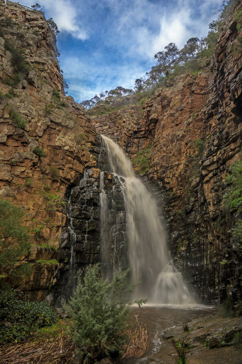 Morialta Conservation Park - Accommodation Newcastle 0