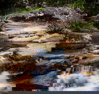 Mothar Mountain Rockpools - Accommodation Newcastle