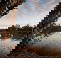 Murray-Kulkyne Regional Park - Accommodation Newcastle
