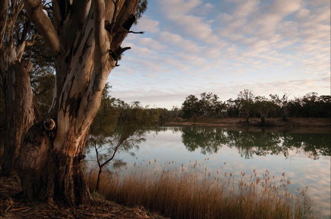 Murray-Kulkyne Regional Park - Accommodation Newcastle 0