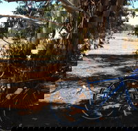 Murchison Rail Trail - Accommodation Newcastle