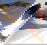 Neale Joseph Fine Art Gallery