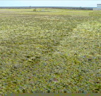 Nilla Yannagalang Billana - Accommodation Newcastle