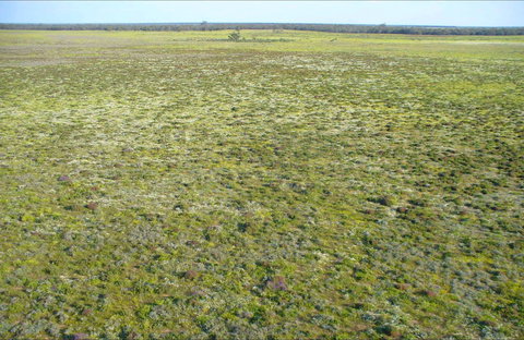 Nilla Yannagalang Billana - Accommodation Newcastle 0