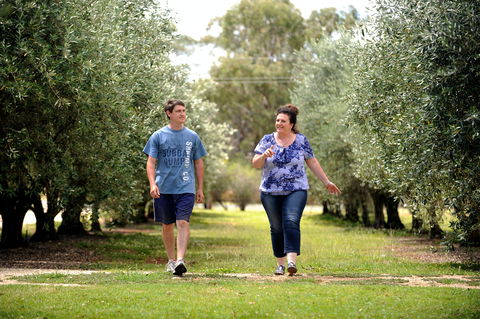 Olives Of Beaulieu - Accommodation Newcastle 0