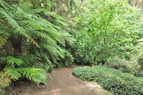 Pirianda Gardens - Accommodation Newcastle 0