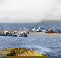 Portarlington - Accommodation Newcastle