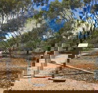 Powell Gardens - Accommodation Newcastle