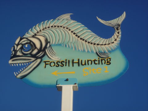 Richmond Fossil Hunting Sites - Accommodation Newcastle 1