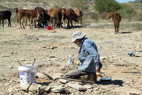 Richmond Fossil Hunting Sites - Accommodation Newcastle 2