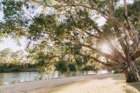 Riverside:  Wagga Beach - Accommodation Newcastle 1