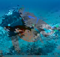 Second Reef Dive Site - Accommodation Newcastle