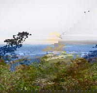 Slingsbys Trail and Syndicate Ridge Track - Accommodation Newcastle