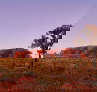 Sunrise Viewing Area Talinguru Nyakunytjaku - Accommodation Newcastle