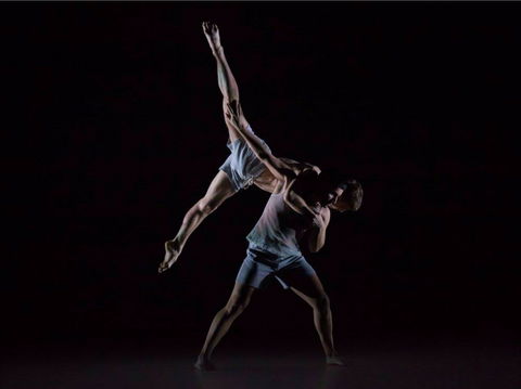 Sydney Dance Company - Accommodation Newcastle 0