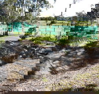 Tactical Paintball Games - Accommodation Newcastle