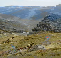 Thredbo Mountain Biking - Accommodation Newcastle