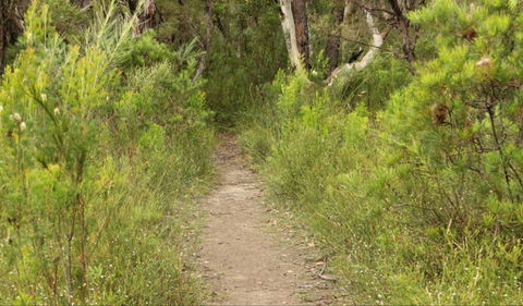 Three Views Walking Track - Accommodation Newcastle 0