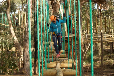 Trees Adventure Yeodene Park - Accommodation Newcastle 0