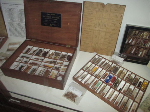 UQ Marks-Hirschfeld Museum Of Medical History - Accommodation Newcastle 0