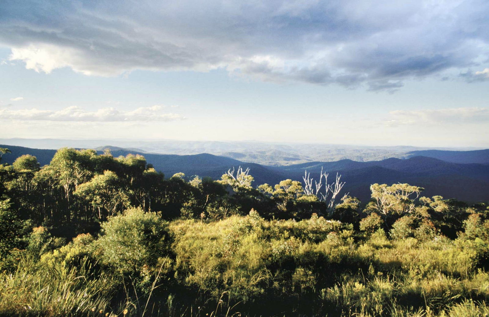 Billys Creek NSW Accommodation Newcastle