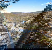 Wadbilliga National Park - Accommodation Newcastle