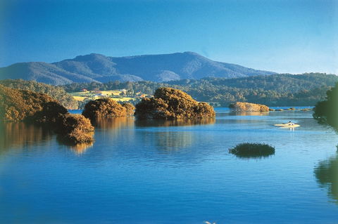Wagonga Picnic Area - Accommodation Newcastle 0