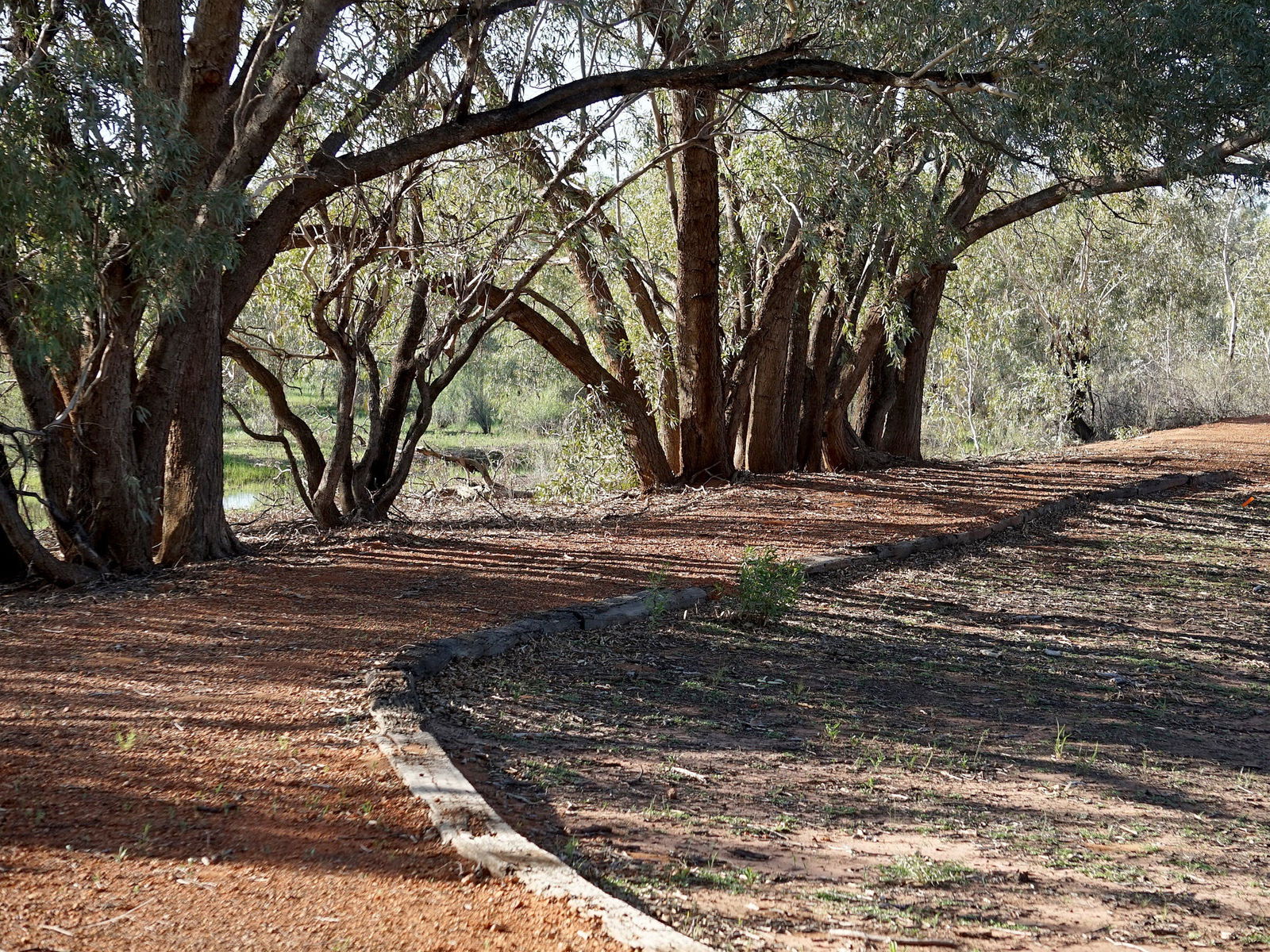 Louth NSW Accommodation Newcastle