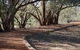 Warrego Floodplain Walking Track - thumb 0