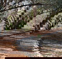 Warrego Floodplain walking track - Accommodation Newcastle