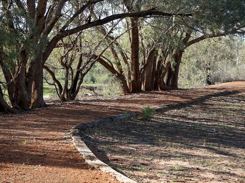 Warrego Floodplain Walking Track - Accommodation Newcastle 0