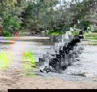 Warrandyte River Reserve