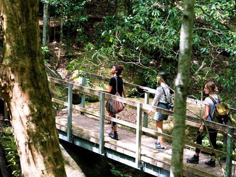 Watagans National Park - Accommodation Newcastle 0
