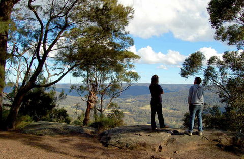 Watagans National Park - Accommodation Newcastle 1