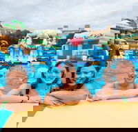 Waterworld Central - Mobile Inflatable Waterpark - Accommodation Newcastle