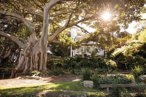 Wendy Whiteley's Secret Garden - Accommodation Newcastle 0