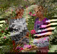 White Cottage - Accommodation Newcastle