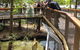 Wildlife Habitat - thumb 2