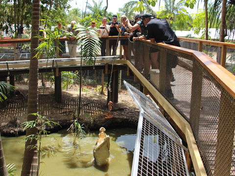 Wildlife Habitat - Accommodation Newcastle 2