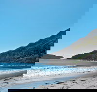 Yacaaba Headland Walking Track - Accommodation Newcastle