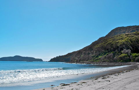 Yacaaba Headland Walking Track - Accommodation Newcastle 0