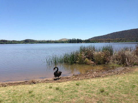 Yarralumla Bay - Accommodation Newcastle 0