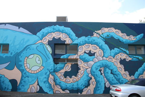 Adelaide Fringe Street Art Explosion - Accommodation Newcastle 2