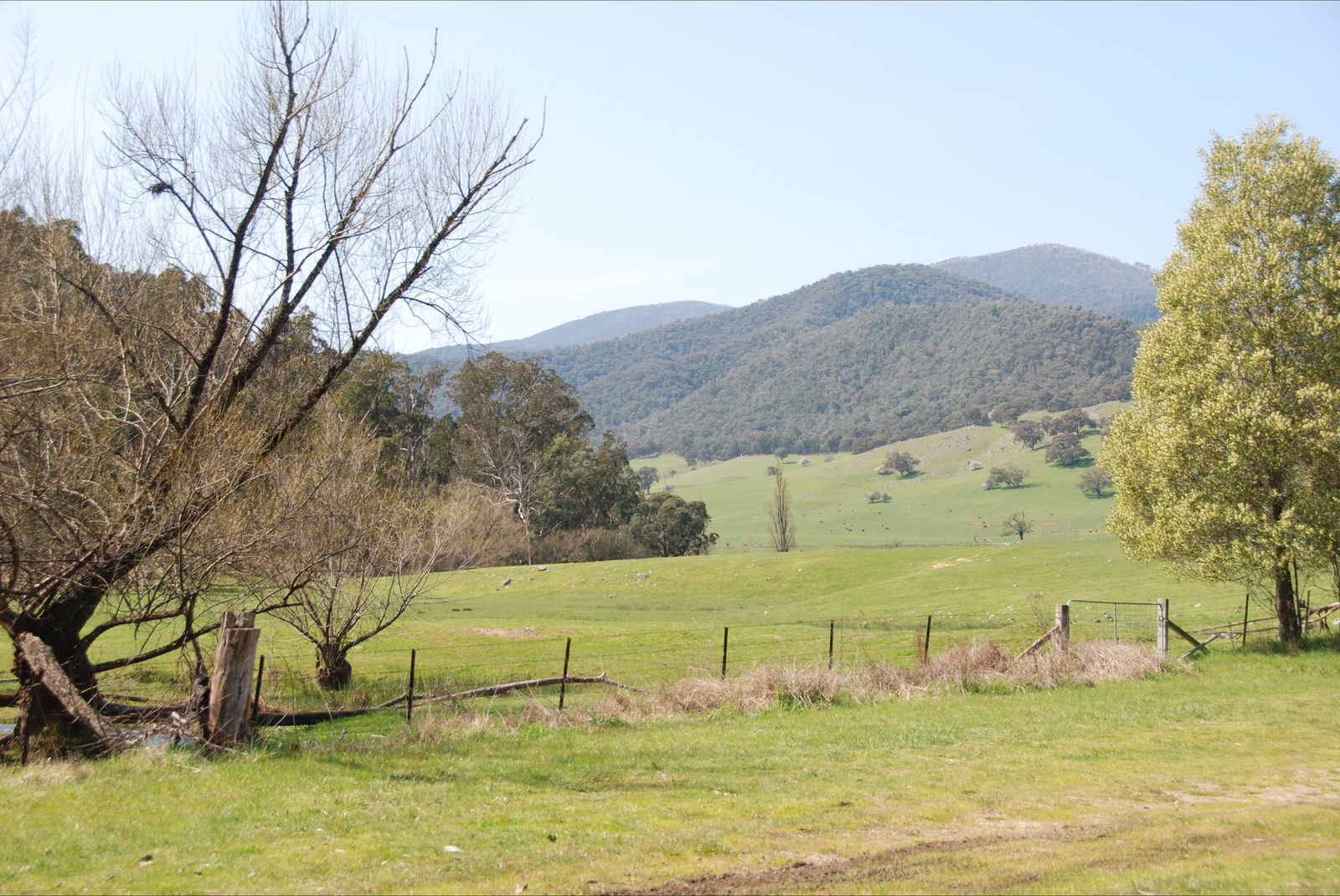 Dartmouth VIC Accommodation Newcastle