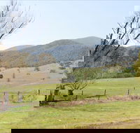 Banimboola Creek Rest Area - Accommodation Newcastle