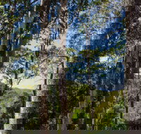 Basin Loop Track - Accommodation Newcastle