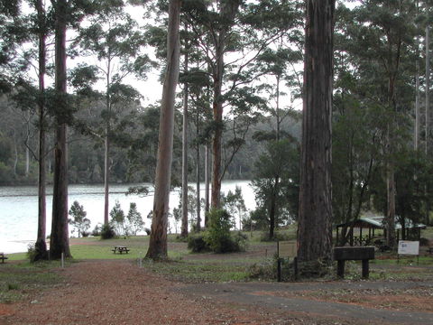 Big Brook Arboretum - Accommodation Newcastle 0